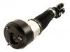 Stoßdämpfer Shock Absorber:221 320 35 13