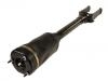 Amortiguador Shock Absorber:164 320 45 13