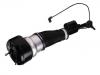 Amortisseur Shock Absorber:221 320 04 38