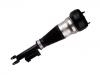 Amortisseur Shock Absorber:222 320 47 13