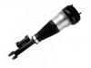 Amortisseur Shock Absorber:222 320 48 13