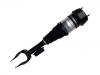 Stoßdämpfer Shock Absorber:A 166 320 14 13