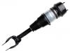 Amortisseur Shock Absorber:166 320 73 13