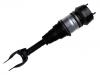 Amortisseur Shock Absorber:166 320 74 13